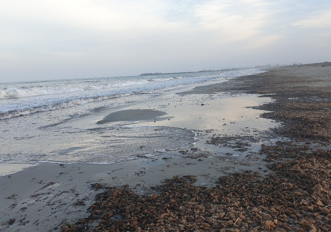 Playa de la Torre Derribada-San Pedro del Pinatar必去景点
