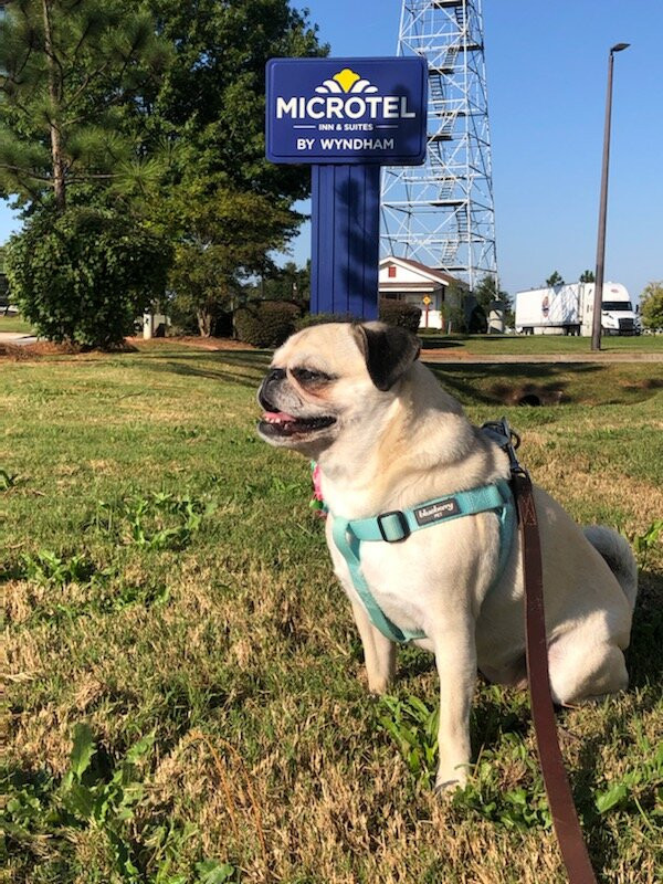 佩利麦克罗特客栈&套房酒店主图