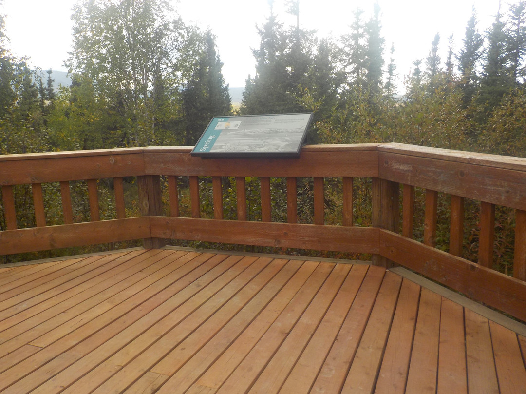 BLM Arctic Circle Monument Sign-费尔班克斯必去景点