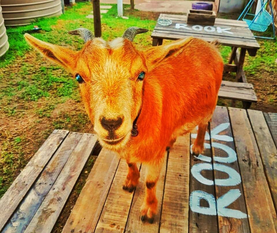 Santiaan Guest Farm