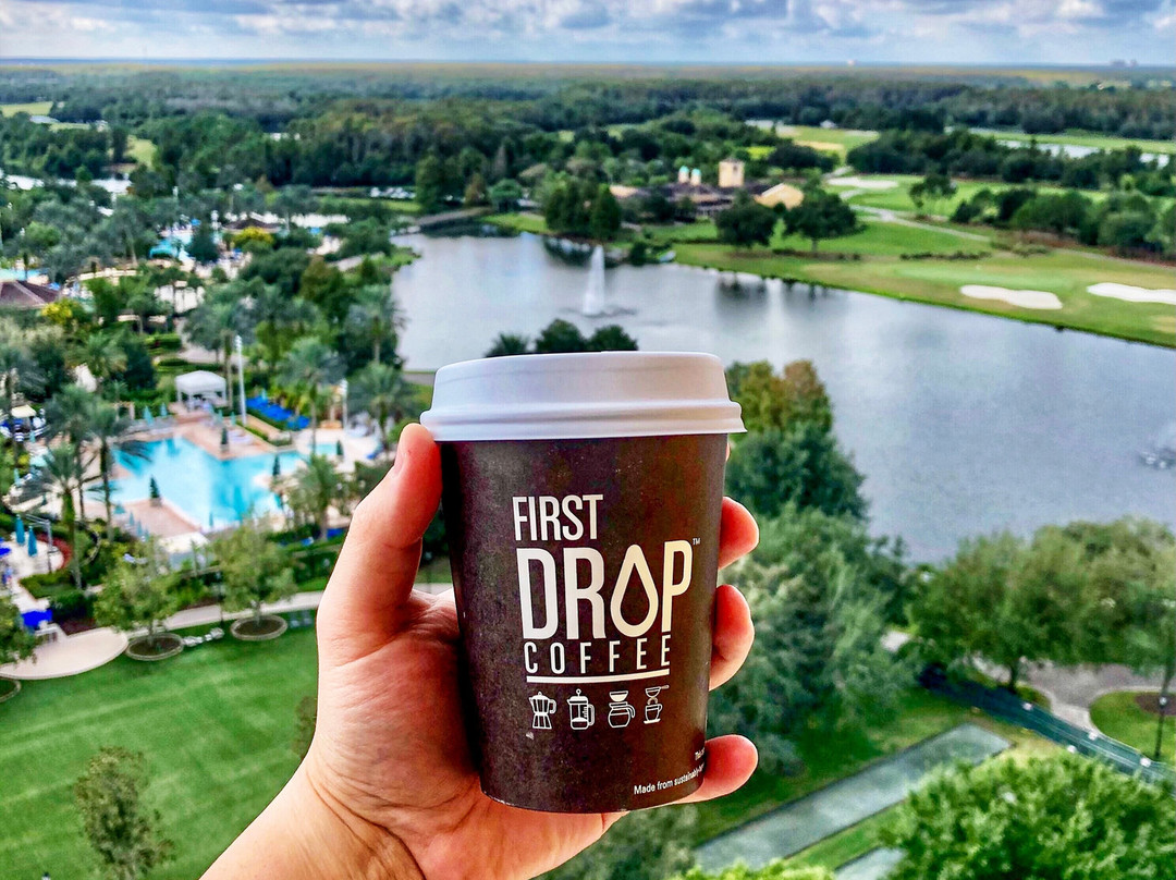 奥兰多格兰德湖丽兹卡尔顿酒店主图