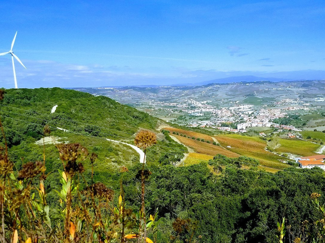 Forte da Carvalha景点图片