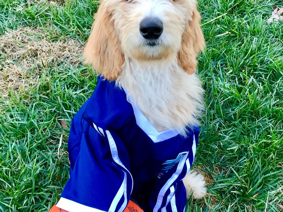 Twelve Mile Creek Greenway-Waxhaw必去景点