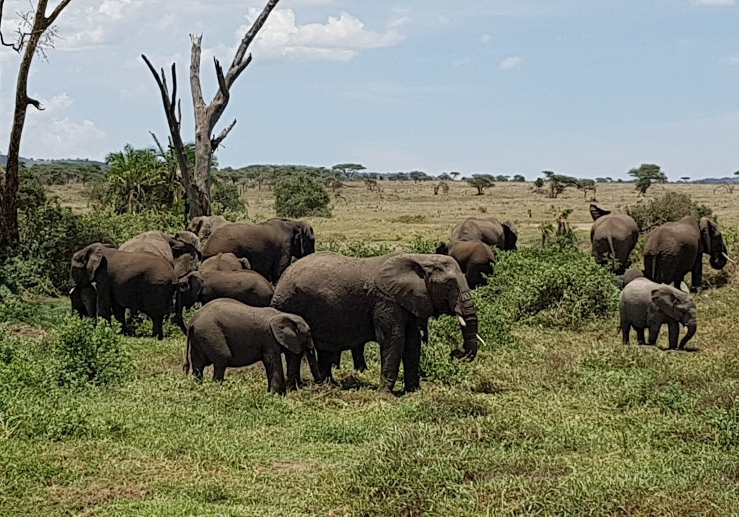 African DMC-阿鲁沙必去景点