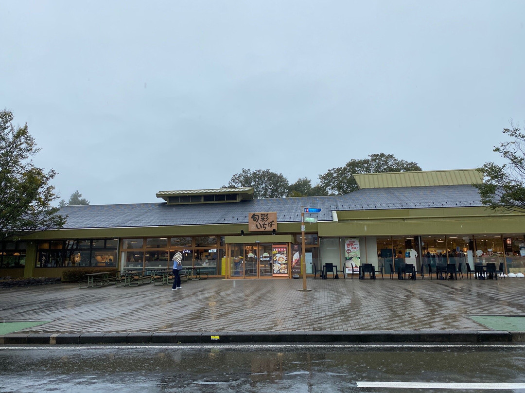 Akagi Kogen Service Area (Outbound)景点图片