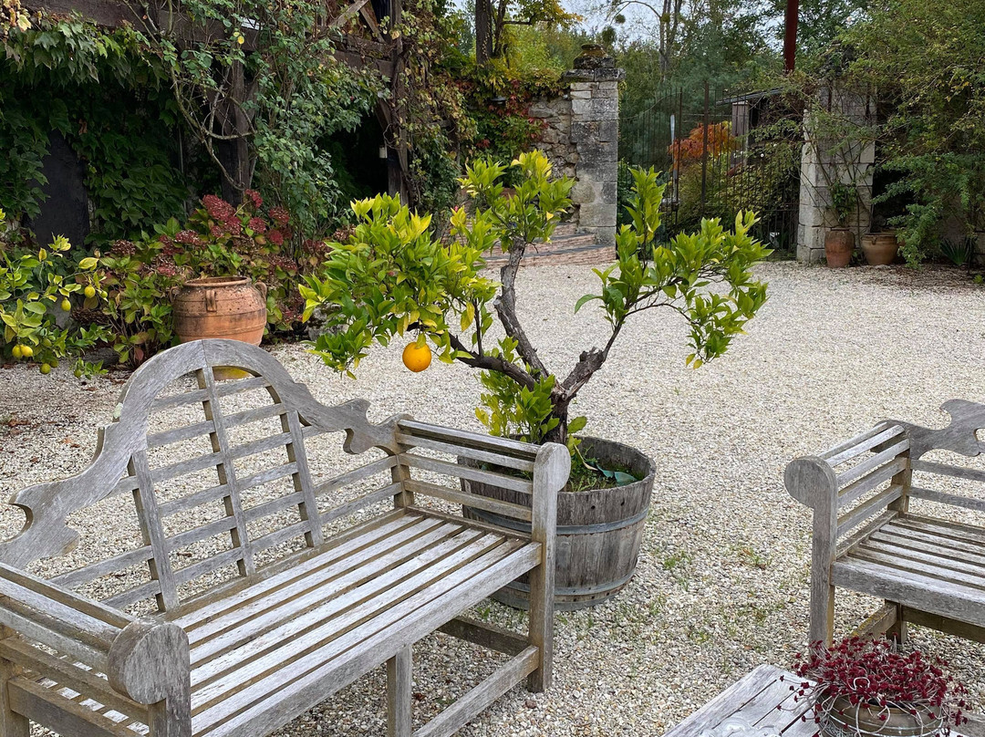 Le Grand Menasson主图