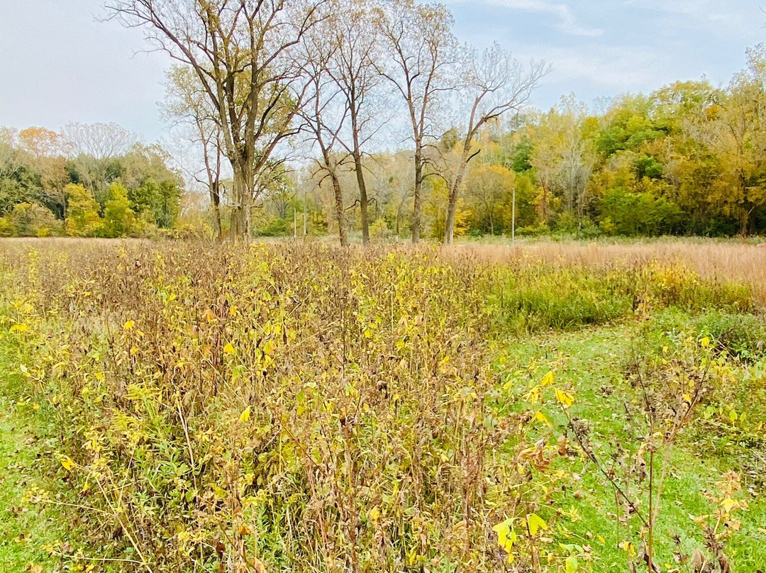 Fox Island County Park景点图片