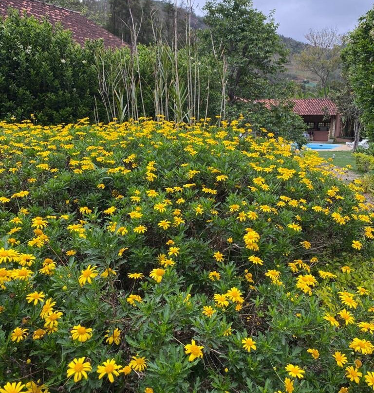 Sainte Monique Chales主图