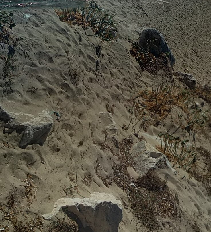 Spiaggia di San Vito lo Capo-圣维托角必去景点