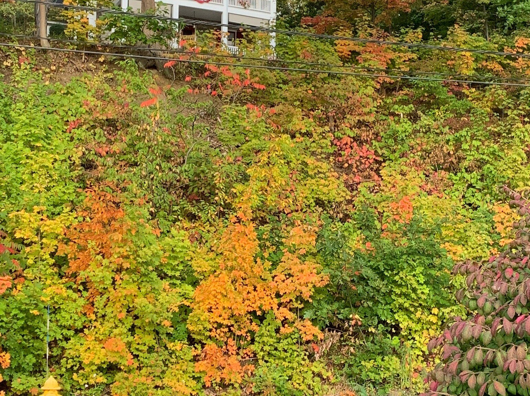 乱世佳人食宿酒店主图