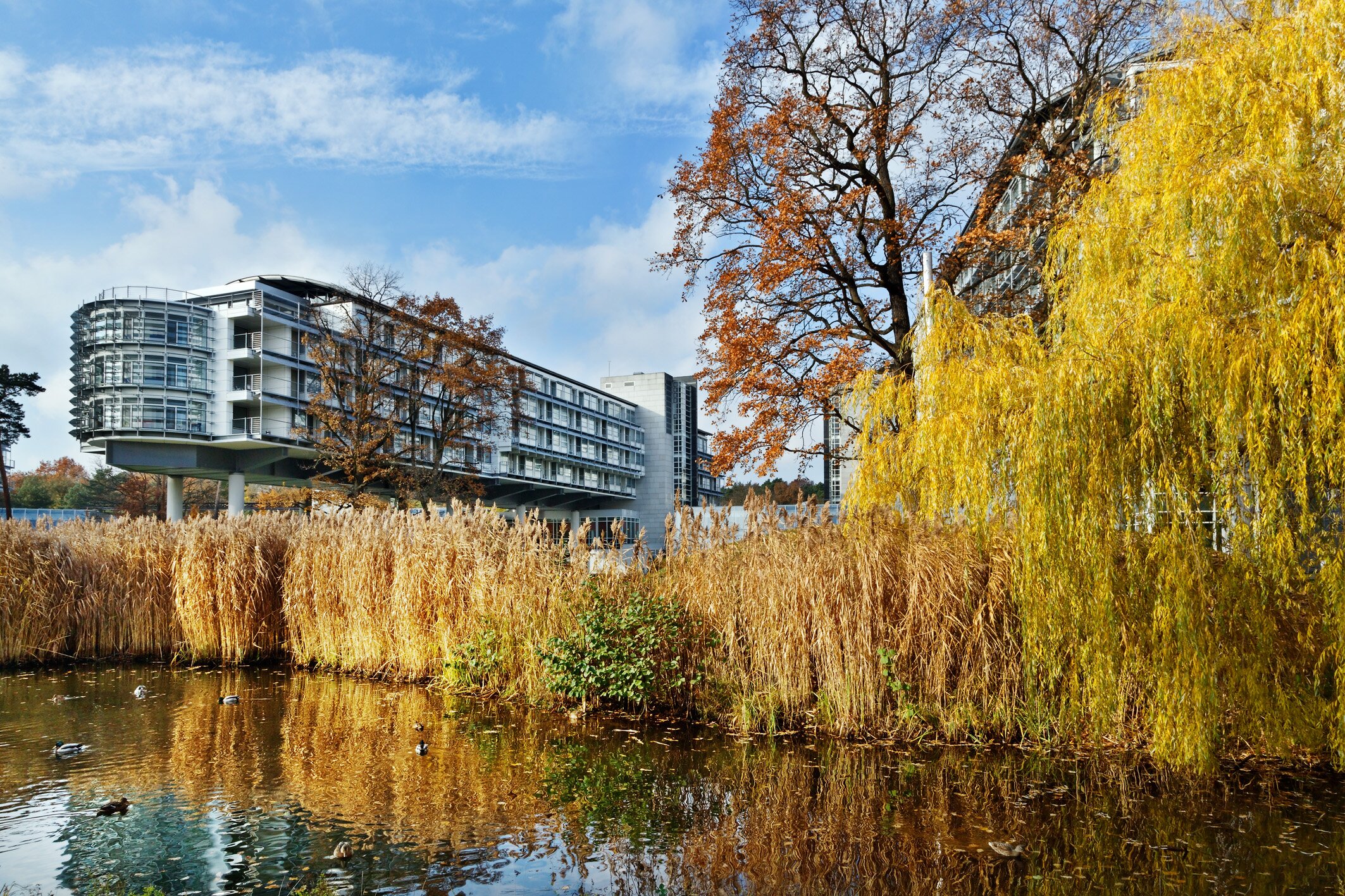 Kongresshotel Potsdam-官方