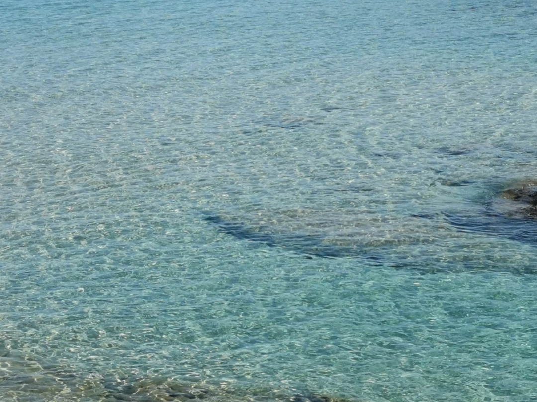 Spiaggia Scoglio di Peppino景点图片