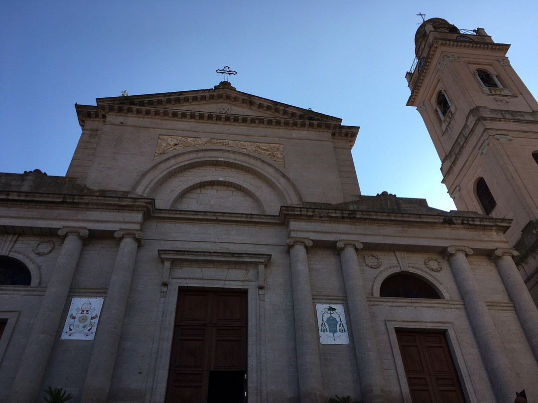 Cattedrale dell'Immacolata景点图片