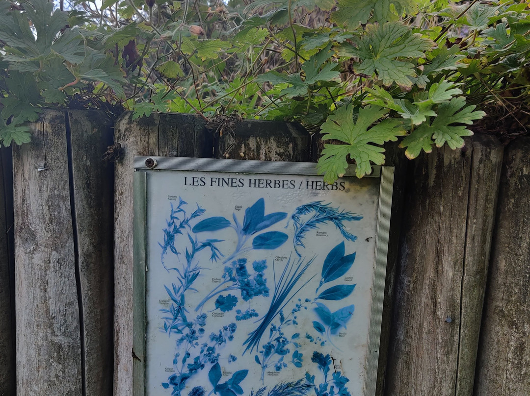 Flatts Lane Woodland Country Park-米德尔斯堡必去景点