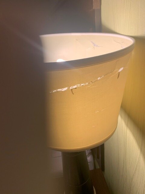 潘帕希尔顿恒庭酒店主图