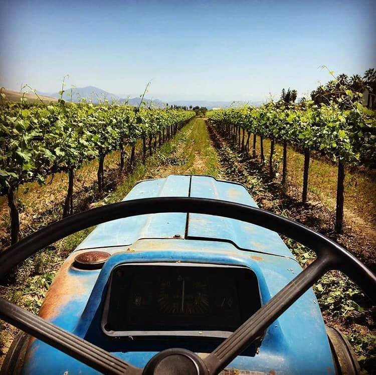 Cedar View Winery景点图片