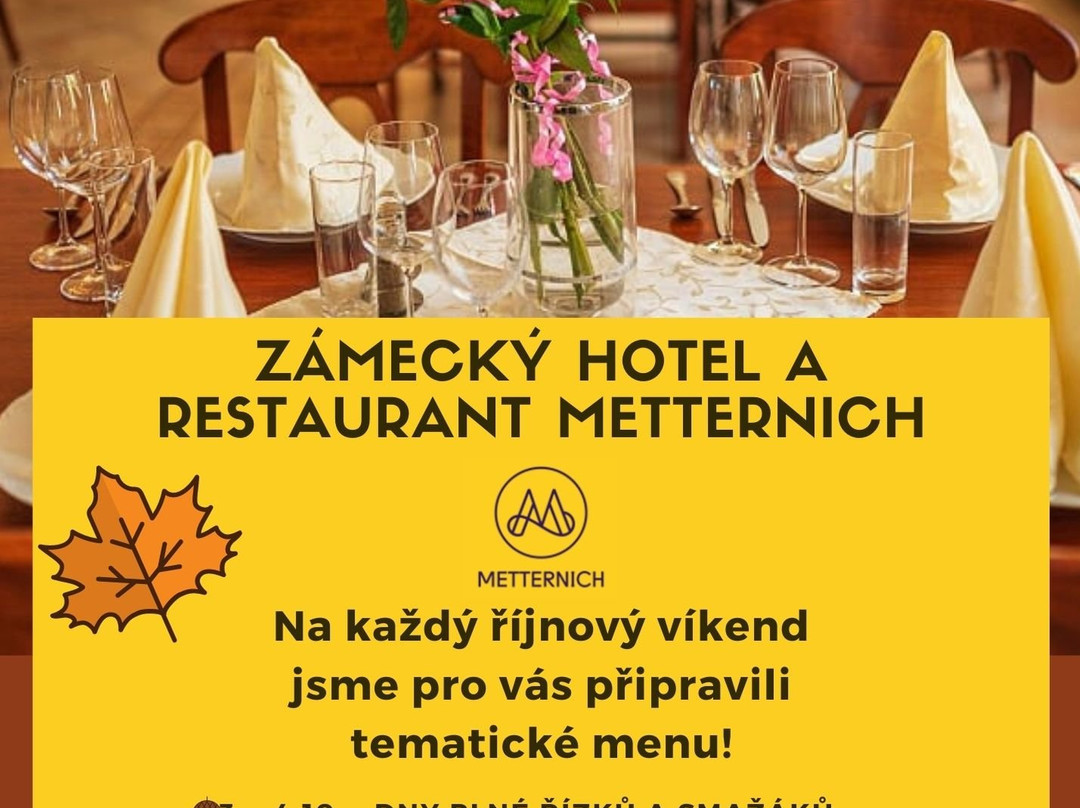 Hotel Zamecky Metternich主图