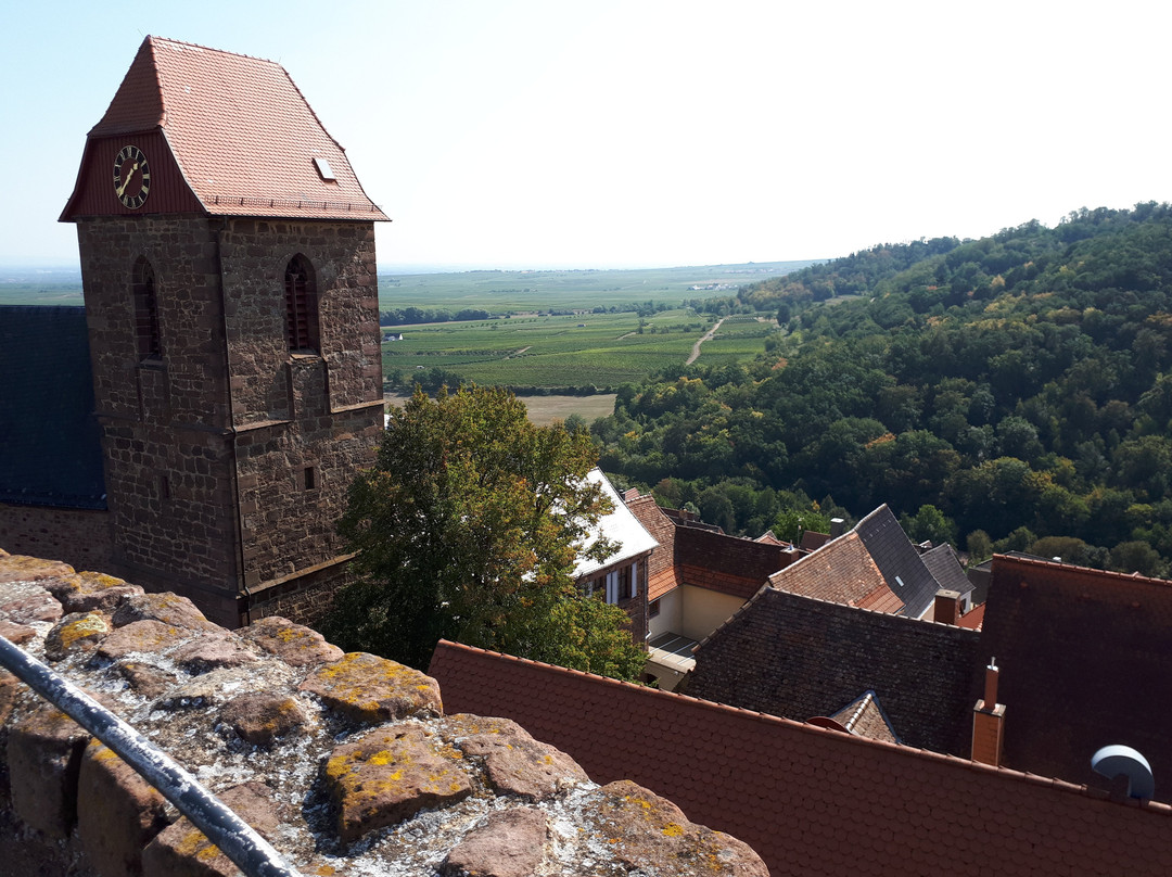 Burg Neuleiningen景点图片