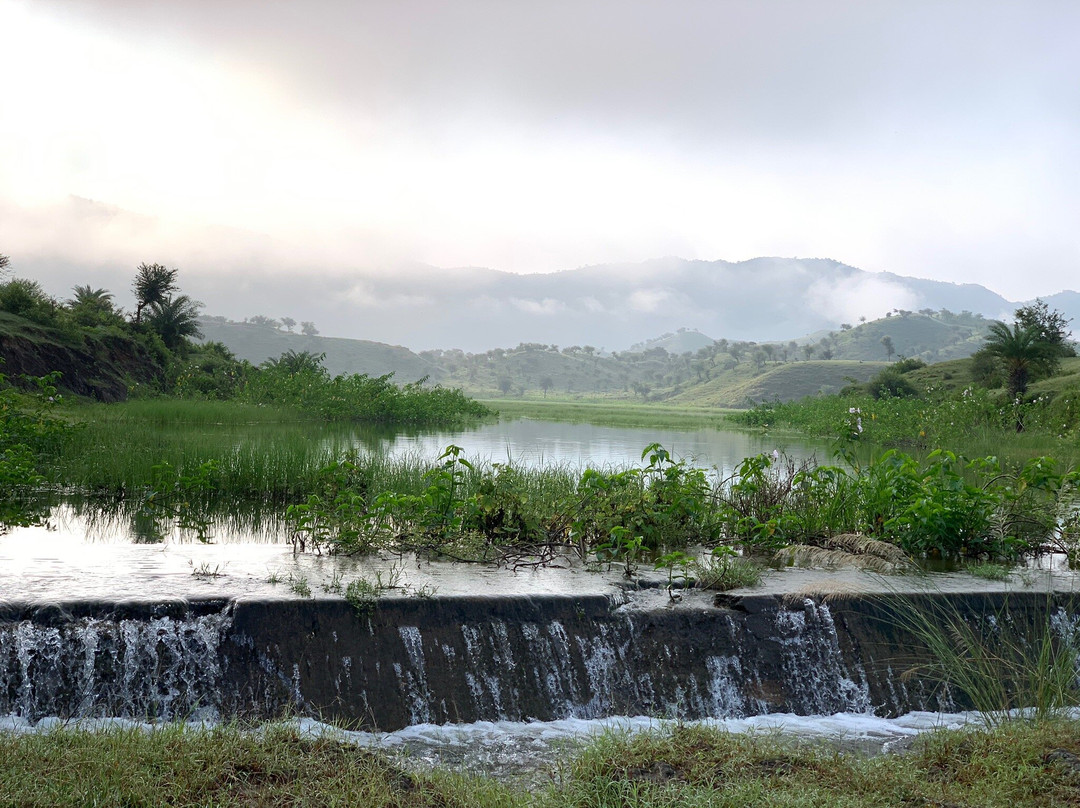 Jhadol Safari Resort主图