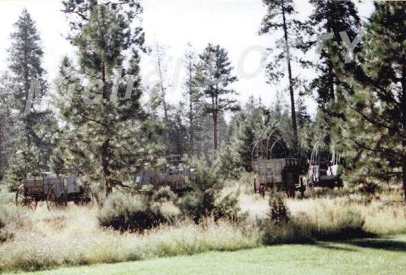 Best Western Ponderosa Lodge主图