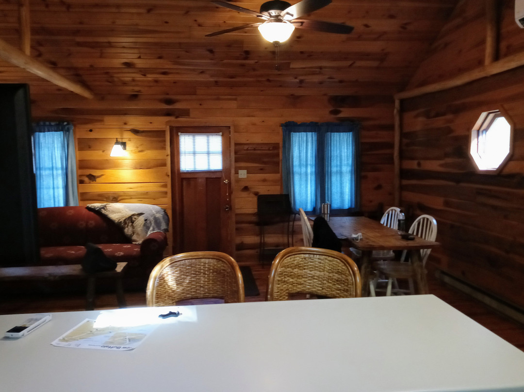 The White Rabbit Inn B&B主图