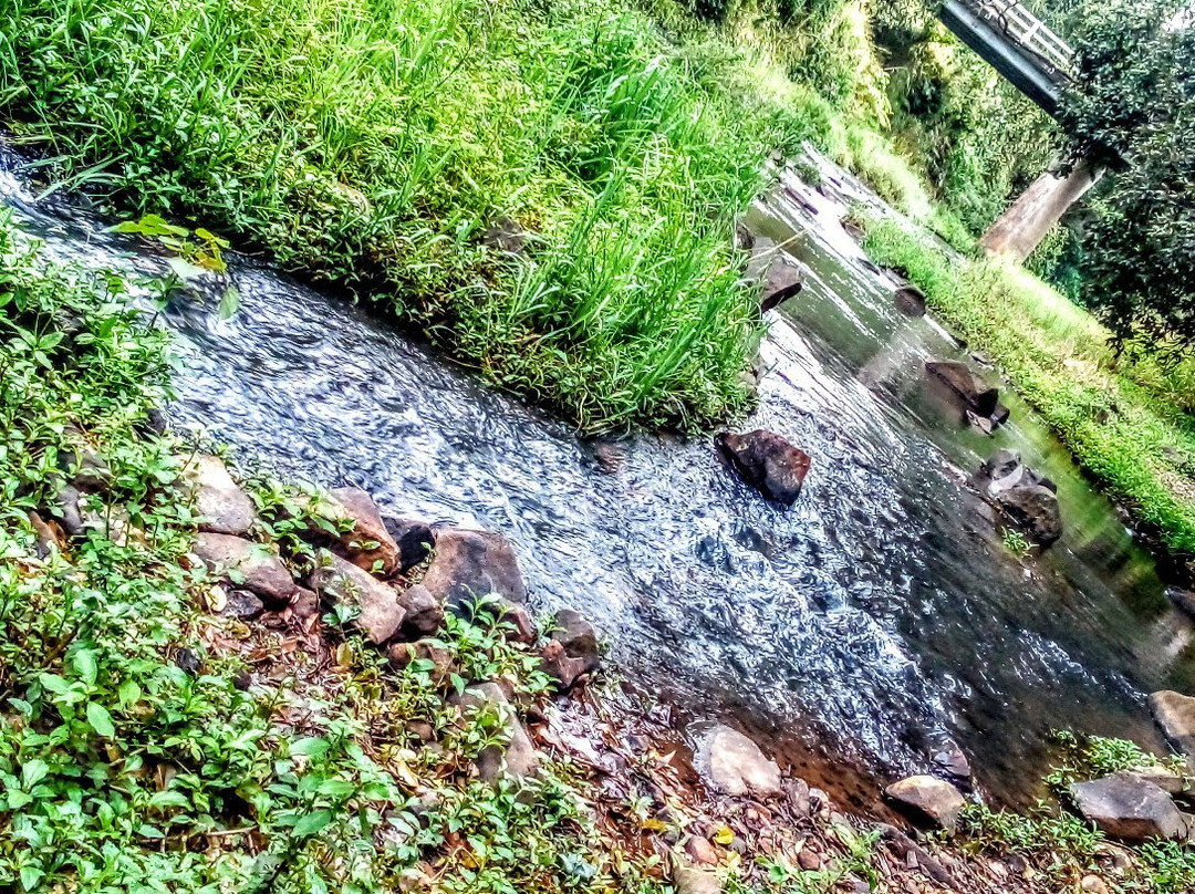 Winfield Park-马兰达必去景点