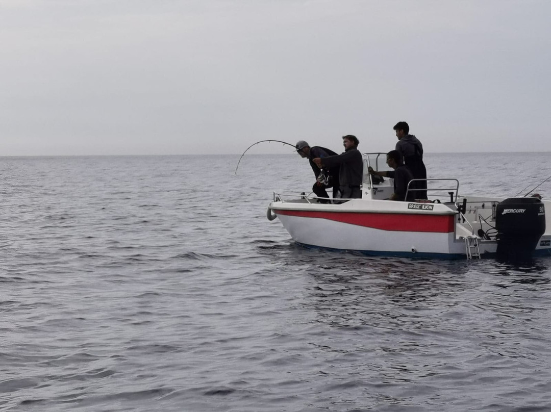 Le Loup Bar - Fishing Guide景点图片