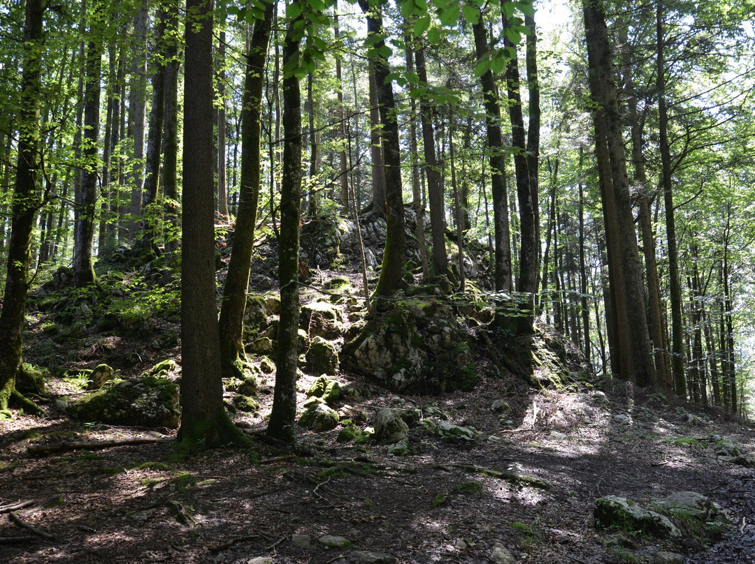 Schwarzensee-Strobl必去景点