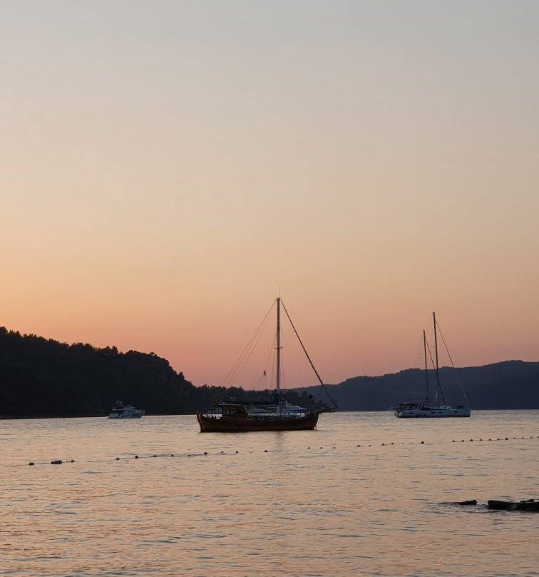 Sakin Vadi Winehouse主图