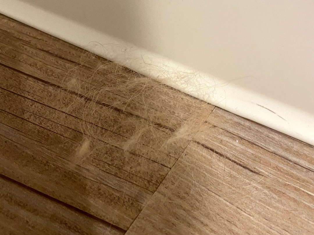 WaterWalk Kansas City - Overland Park主图