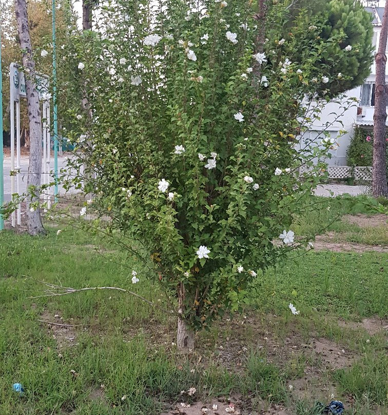 Beydaglari Sahil Milli Parki-凯梅尔必去景点