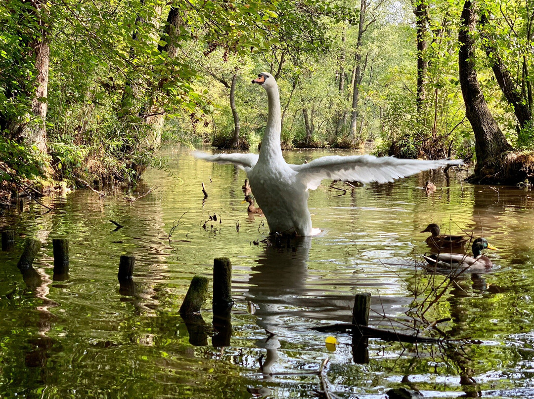Niebieskie Zrodla Nature Reserve-Tomaszow Mazowiecki必去景点