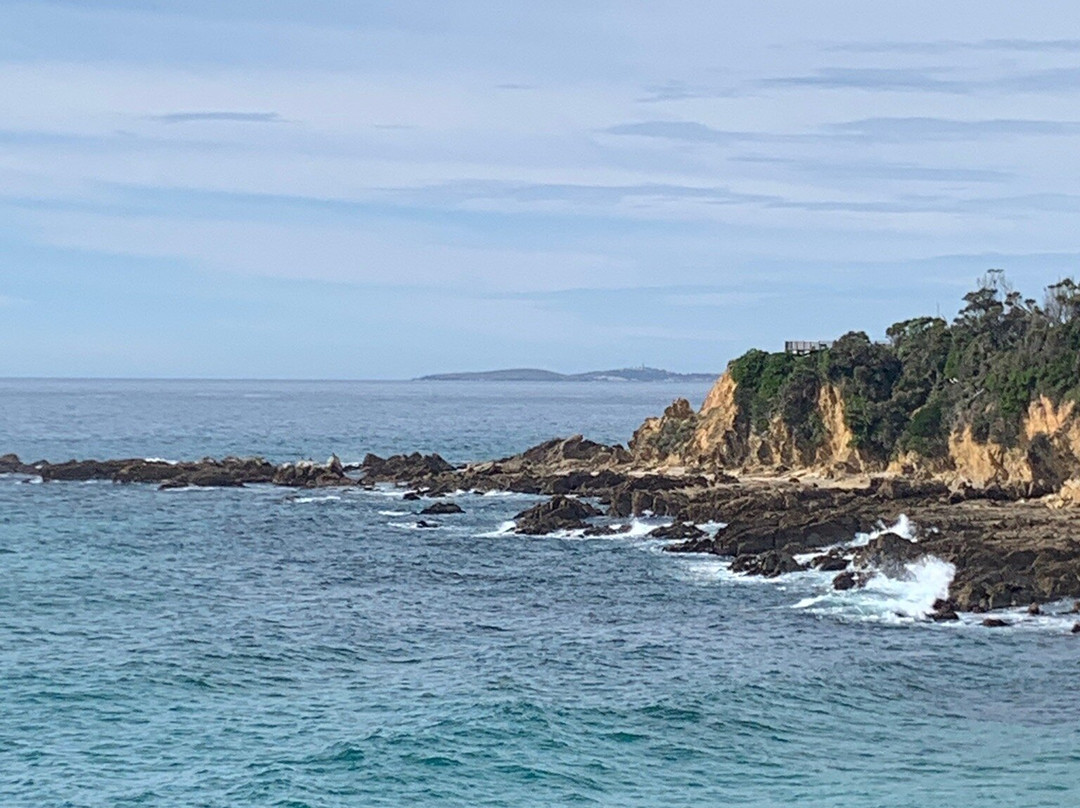 Seal Swim Australia Montague Island Discovery Tours景点图片