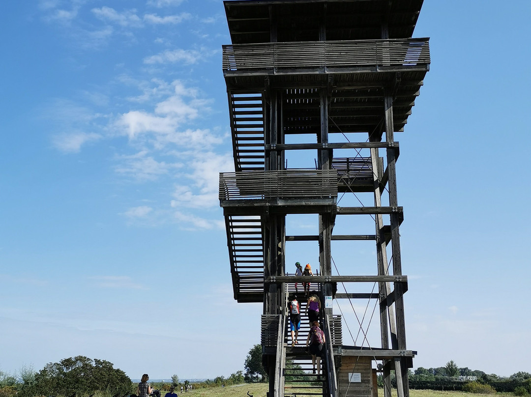 Nationalpark Neusiedler See – Seewinkel-Illmitz必去景点