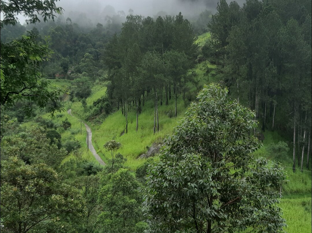 Rockbourne Bungalow主图