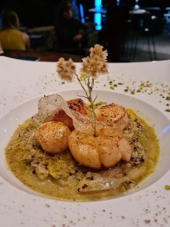 A Flatta-官方