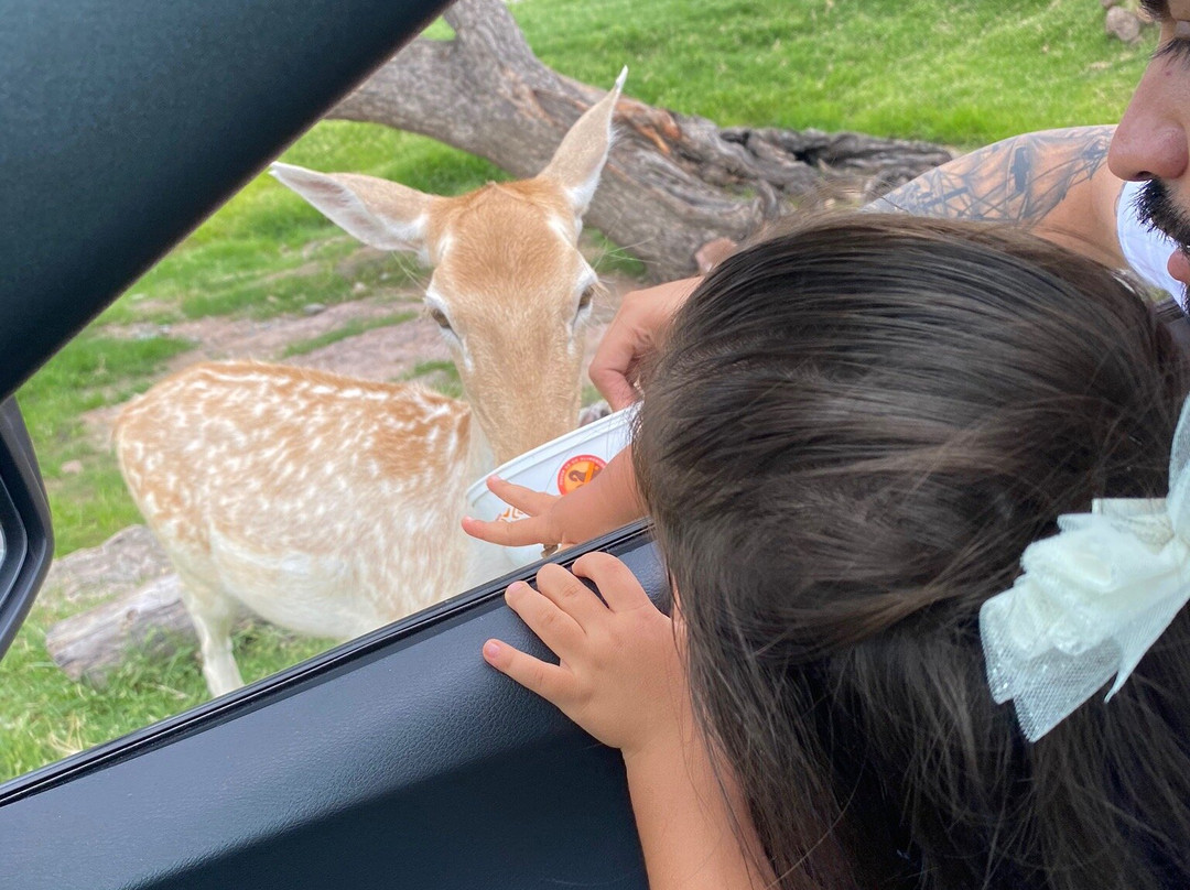 Zoofari-Amacuzac必去景点