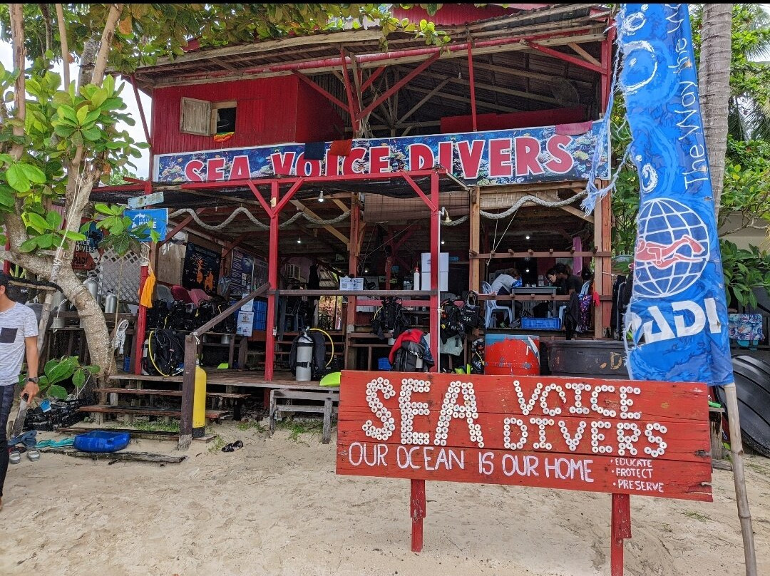 Sea Voice Divers景点图片