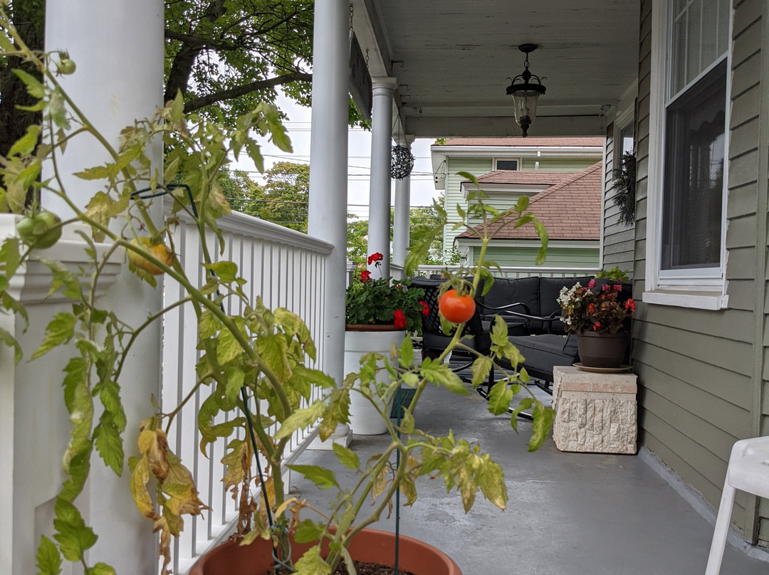 Fleetwood House Bed and Breakfast主图