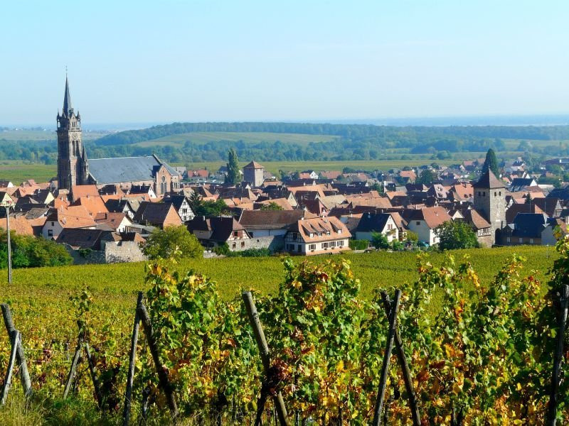 Domaine Martial Dirringer景点图片