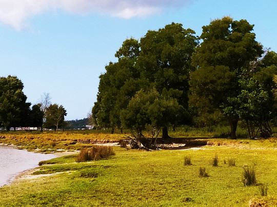 MinhAventura-Caminha必去景点