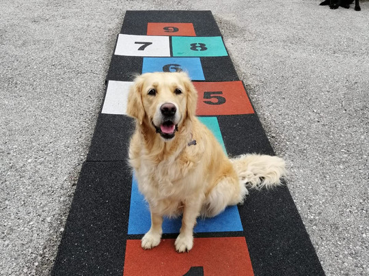 Tana della volpe主图