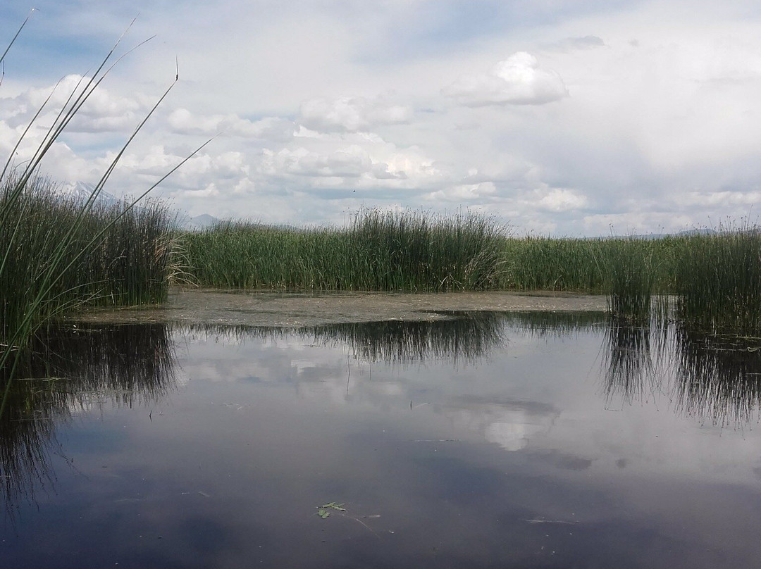 Sultansazlıgi Milli Parki-Yesilhisar必去景点