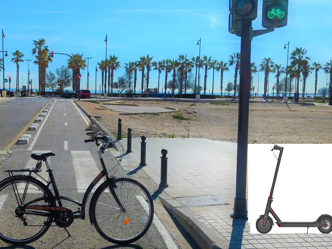 Beach Bikes Valencia景点图片