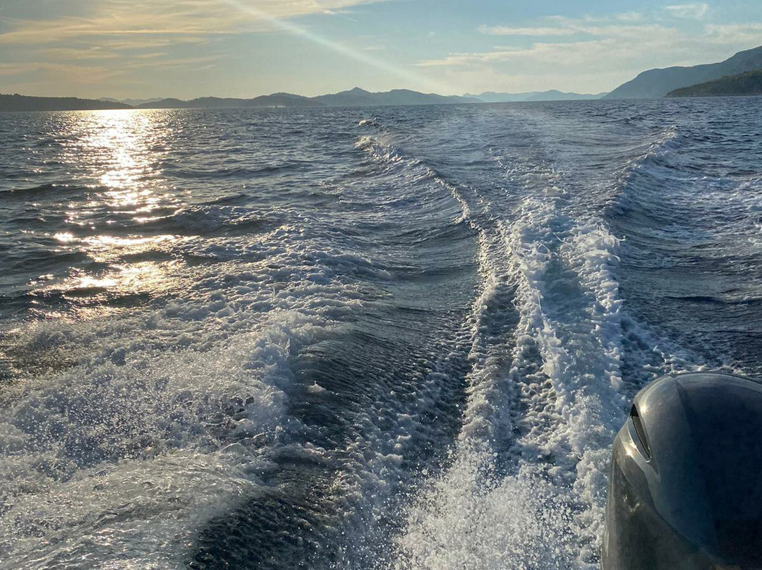 Dubrovnik Boat Trips景点图片