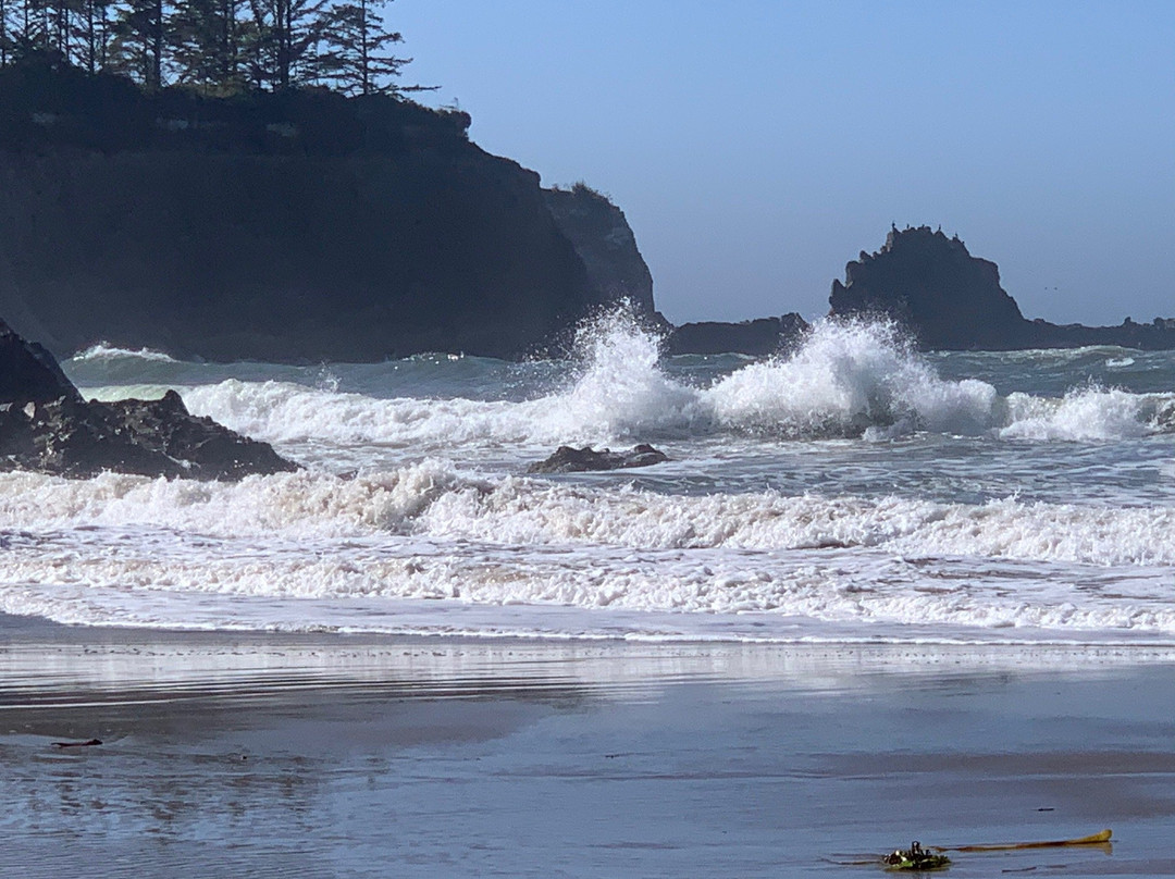 Bastendorff Beach-Charleston必去景点