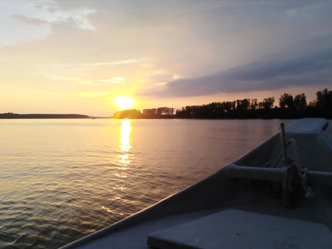 Boat Cruise Kuala Sepetang-Kuala Sepetang必去景点