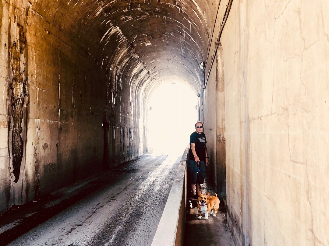 Peterborough Lift Lock-彼得伯勒必去景点