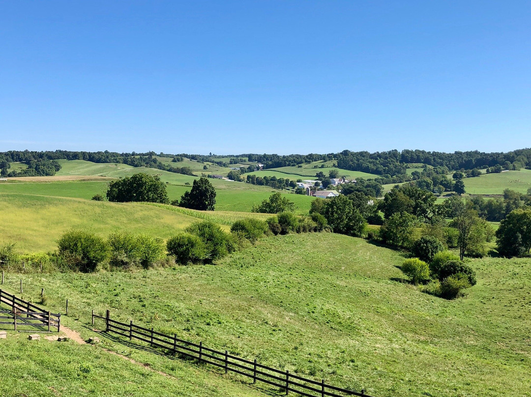 Holmes With A View主图