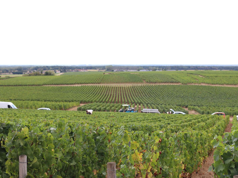 Domaine Francois Lumpp-Givry必去景点